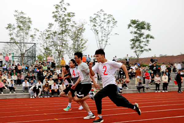 关于全国田径运动会，百米冲刺引爆全场的信息