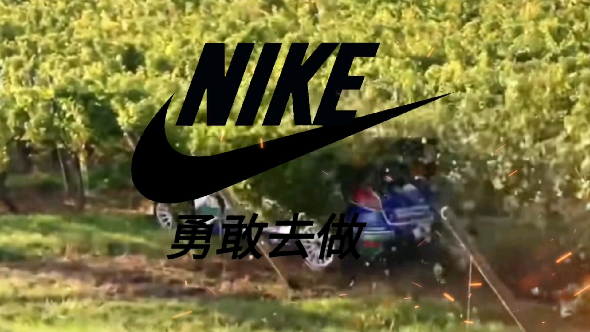 关于WRC威尔士：泥泞中的勇者挑战极限的信息