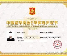 “战术大碰撞：教练如何调兵遣将扭转乾坤？”的简单介绍