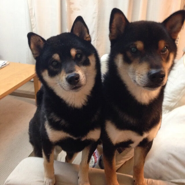 【Judge的神级表现】赢得联盟MVP争夺战的关键一役,英雄联盟mvp之歌