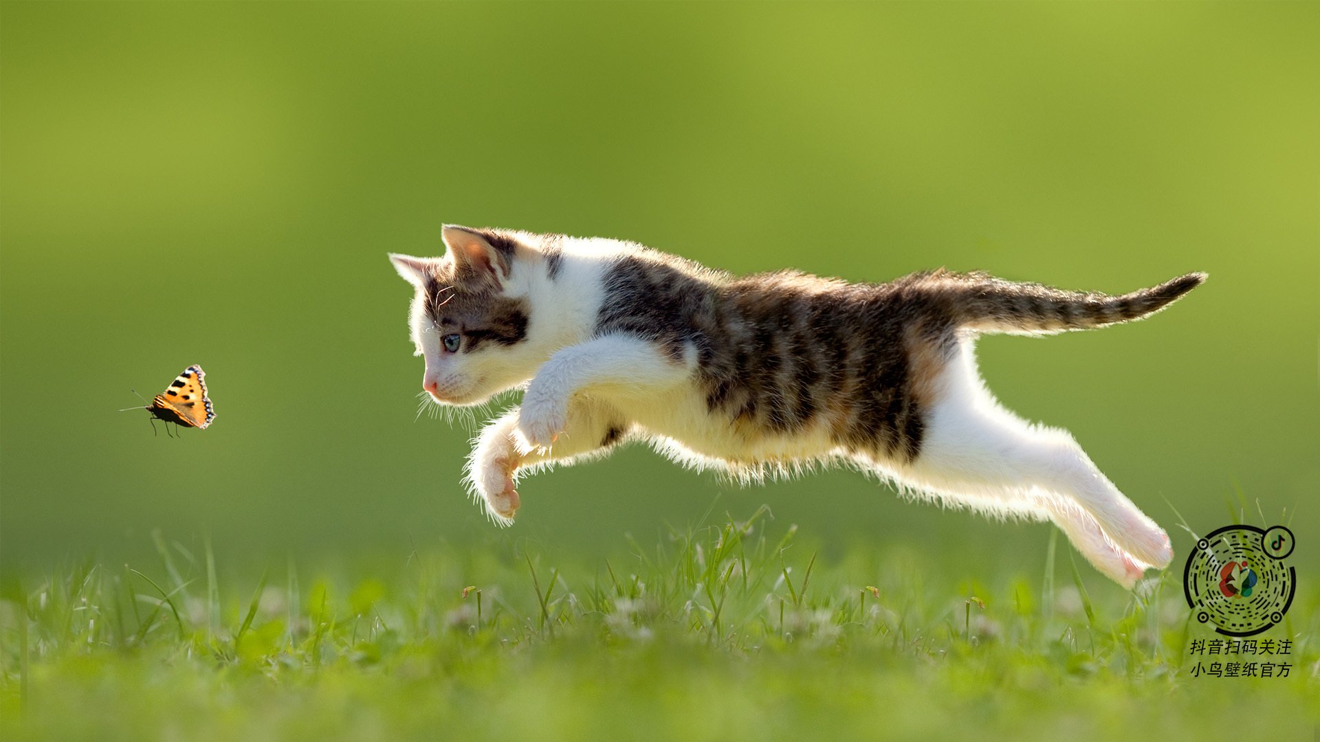 城市夜空滑翔,飞越星空的极速体验