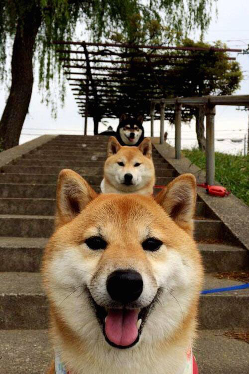 库里关键三分逆转勇士!,库里关键三分视频