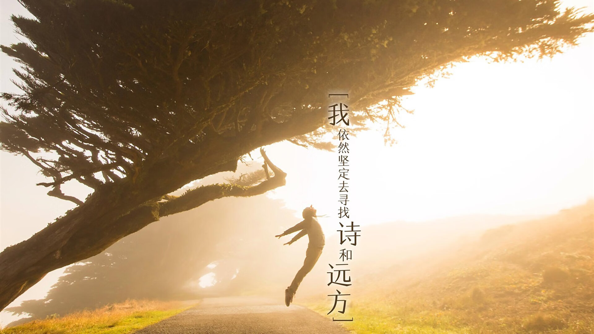 技术规范更新：未来F1的发展方向，f1研发