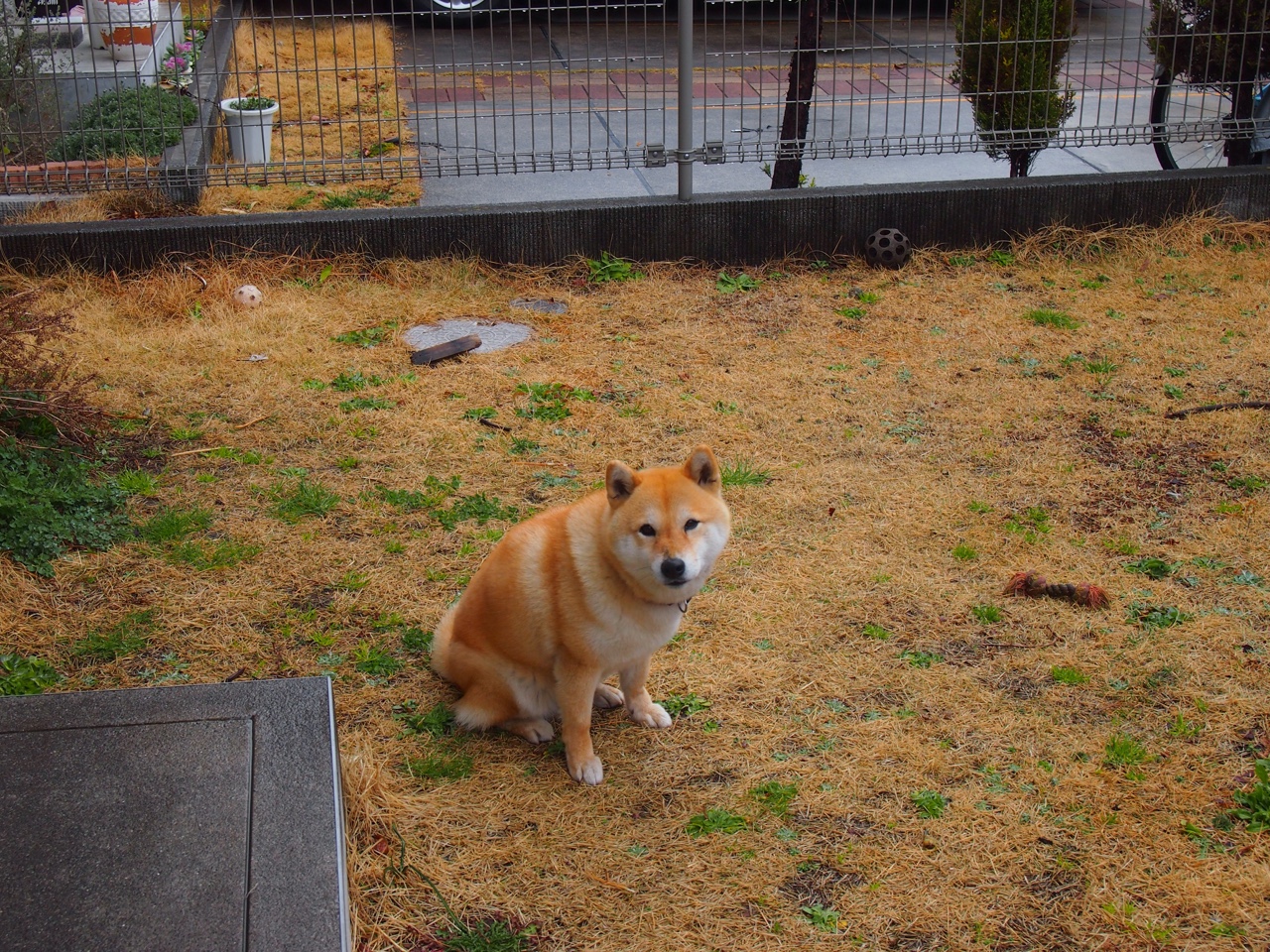 未来联盟：多元化、多文化交融的篮球新格局，未来联盟门面