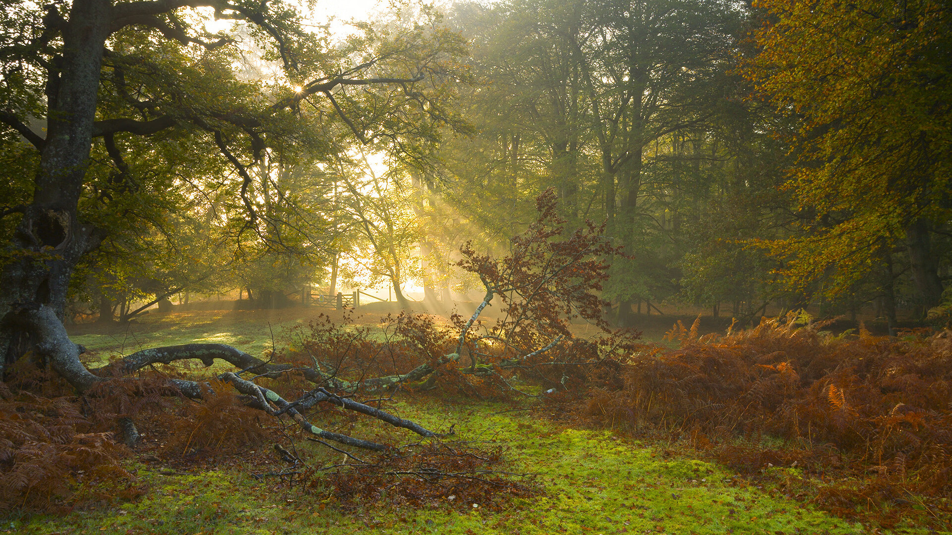 篮球运动在少数民族地区深耕，促进民族团结发展，篮球运动对群众体育的作用
