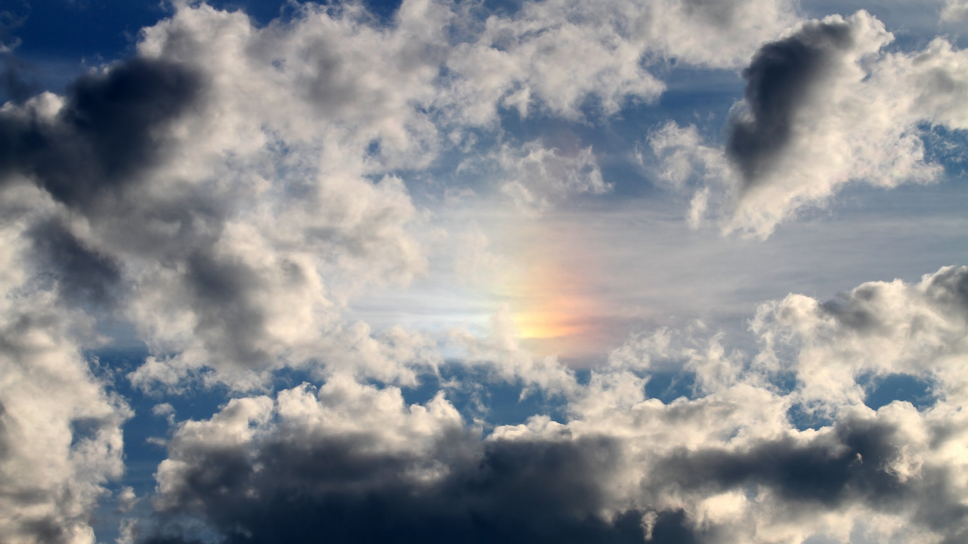 赛季尾声:最具潜力的“冲冠黑马队”盘点,黑马夺冠