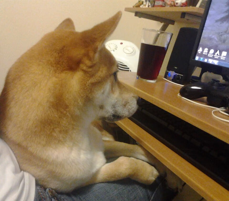 T1战队战术调整获成效,t1战队怎么样