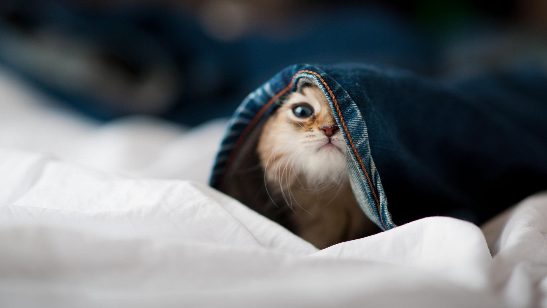 利物浦之王_ 拜仁慕尼黑冲在前头，利物浦vs拜仁慕尼黑次回合