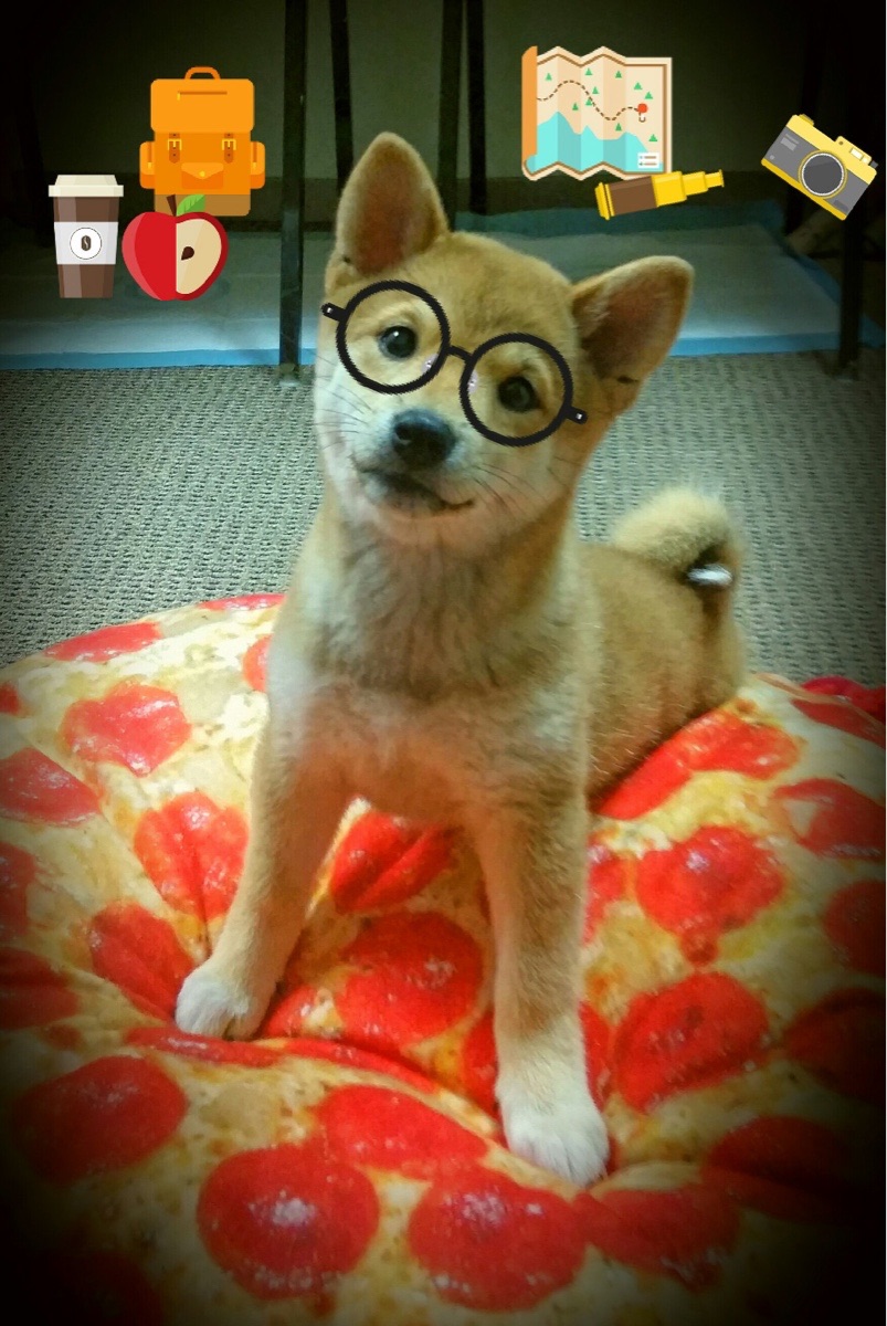 摩纳哥客场逆袭,成功晋级下一轮,摩纳哥官方