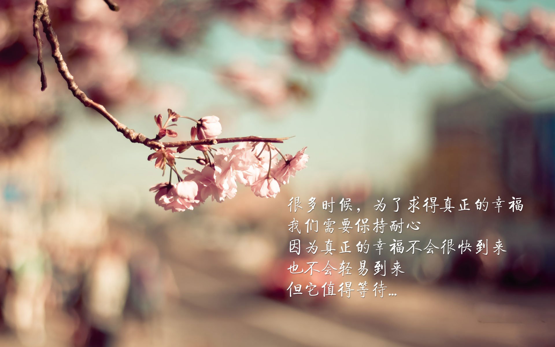 水晶宫客场战平，表现仍有待提高，水晶宫什么水平