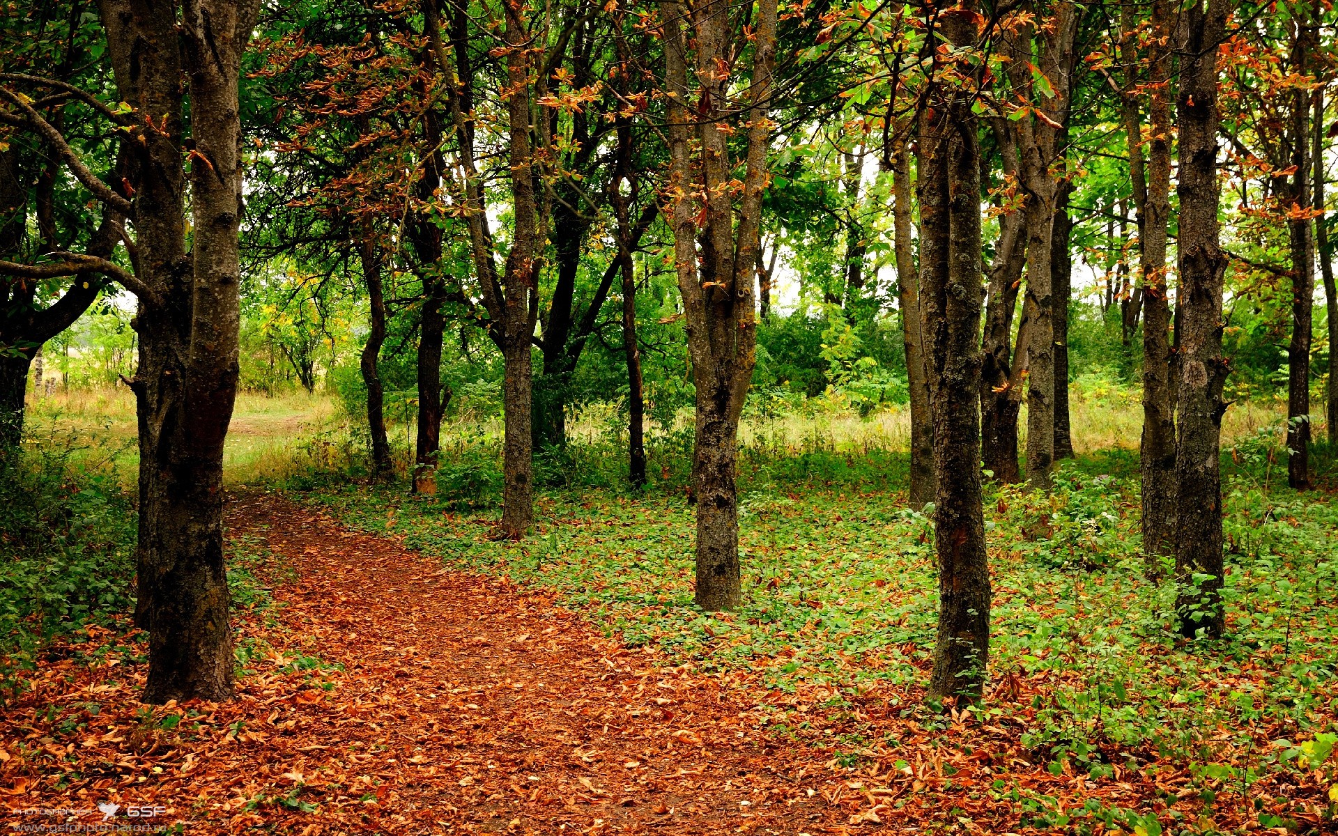 米德尔斯堡客场挫败,保级形势雪上加霜,米德尔斯堡绰号