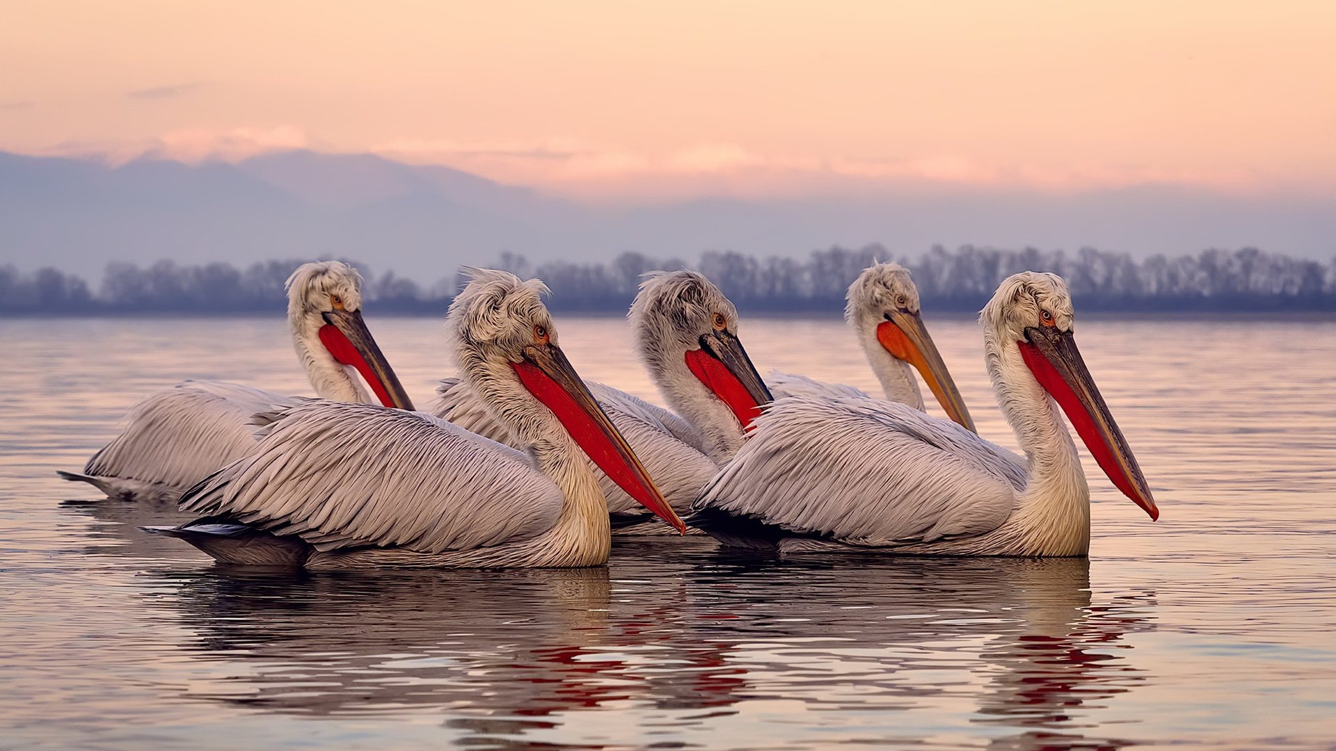 西雅图海湾人签约新赞助商,提升品牌影响力,西雅图海湾人是什么球队