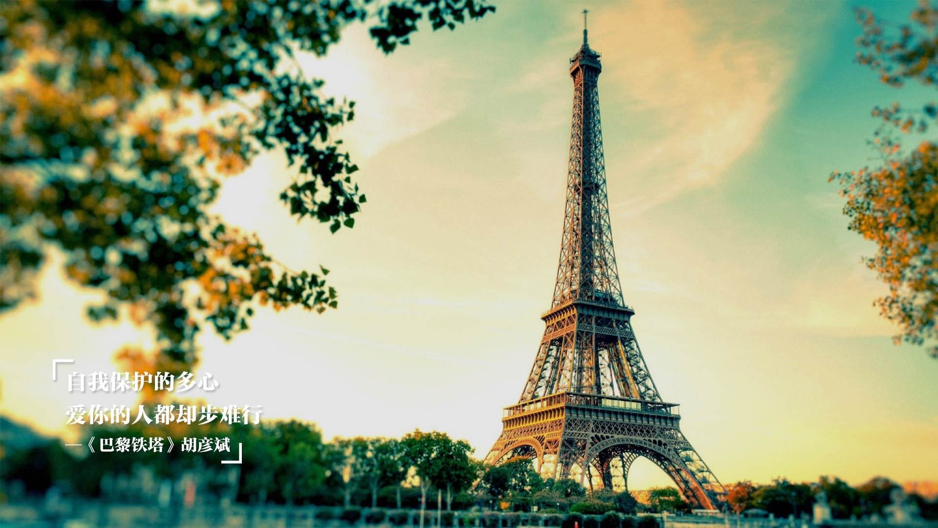 NBA赛季助攻王争夺情况,nba本赛季助攻王