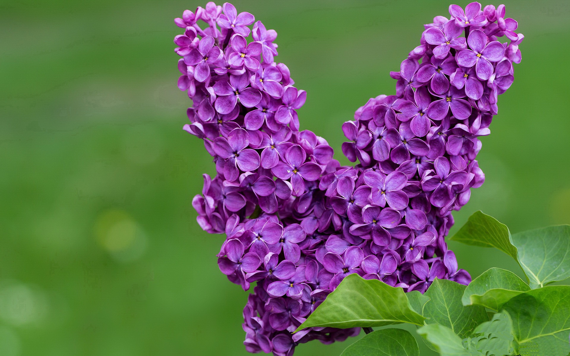 青少年体育社交平台用户行为分析，青少年体育市场