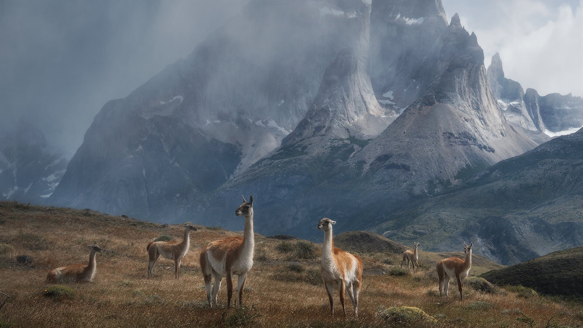 高校运动训练计划动态调整机制研究,运动训练调控