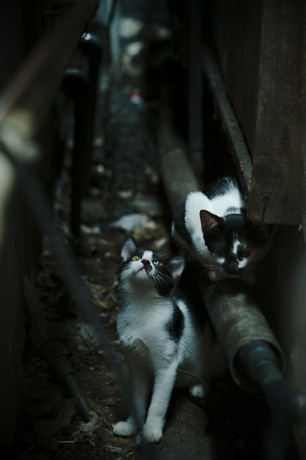 世界杯预选赛中国青年队晋级 球迷期待新星崛起,2022世界杯预选赛中国队怎么样才能出线