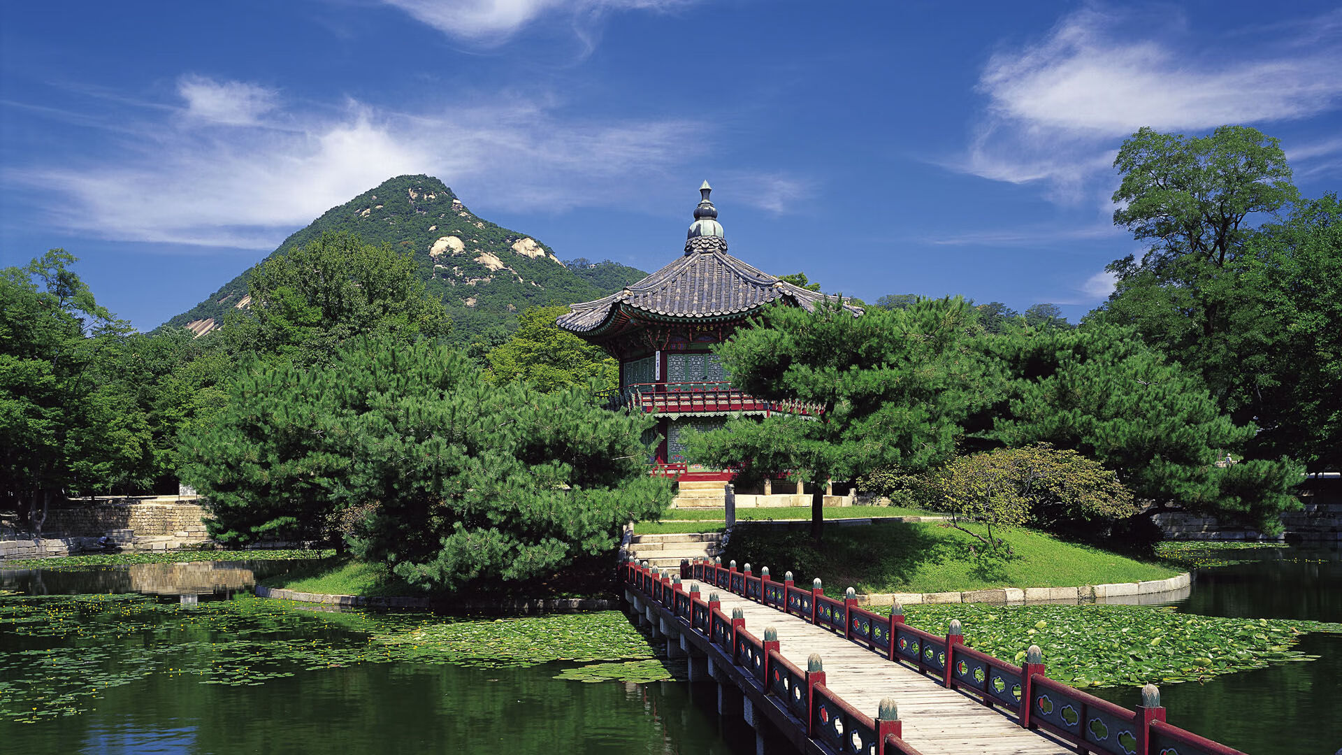 德国队迎战国际乒联混合团体世界杯:赛制影响及战术策略,德国乒乓球赛程