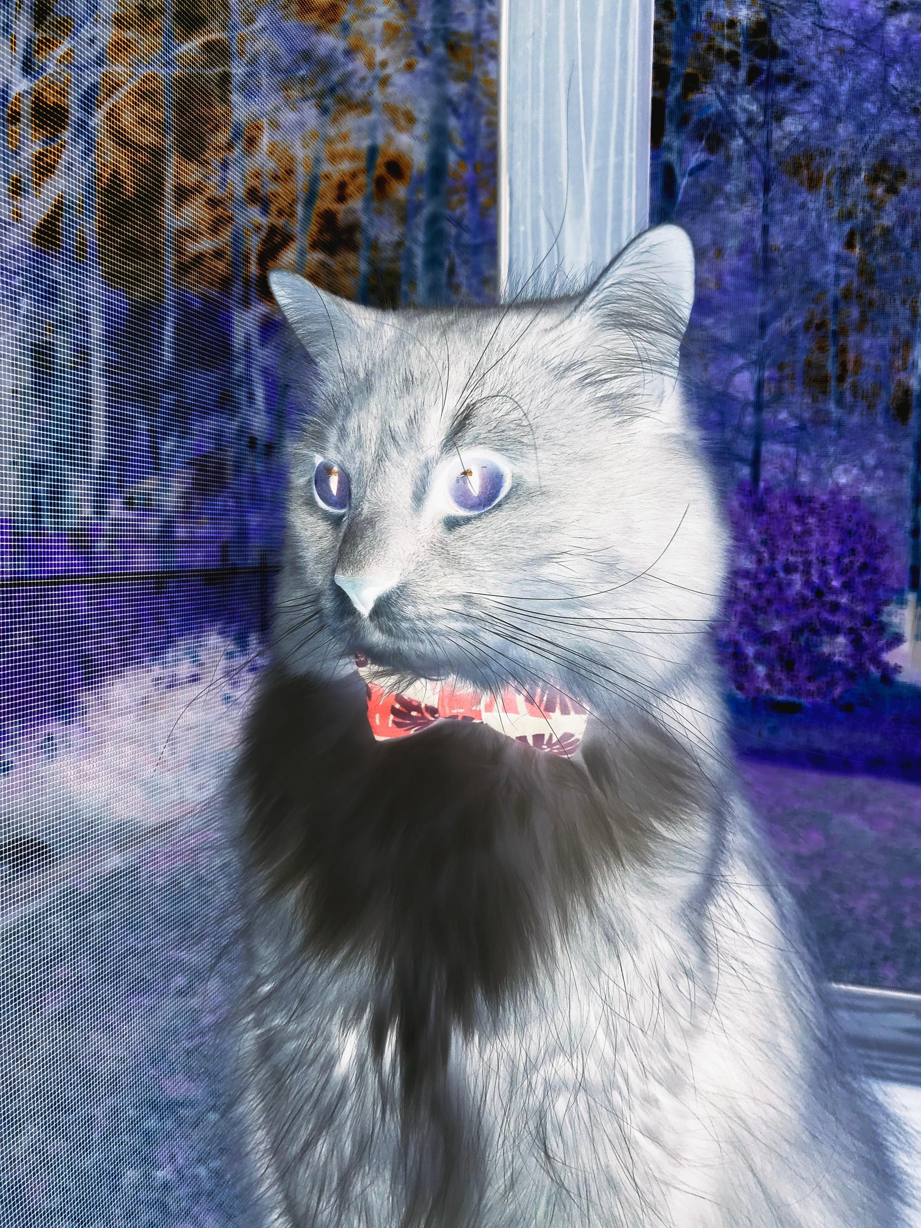 赛事主视觉设计融合地方元素,大型运动赛事的视觉元素设计如何与地域文化相结合