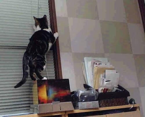 字母哥强调防守篮板是比赛基础,nba字母哥怕谁防守